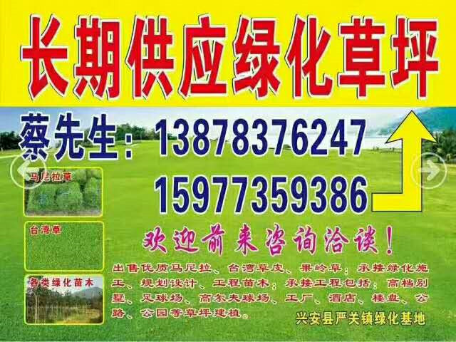 桂林兴安县蔡国杰绿化草皮种植基地，广西园林行业通讯录会员单位